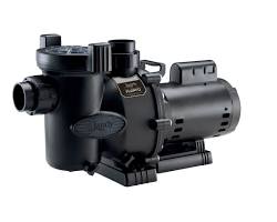 A picture of Jandy Flo Pro pump all black. Were talking about how long do pool pumps last in this article