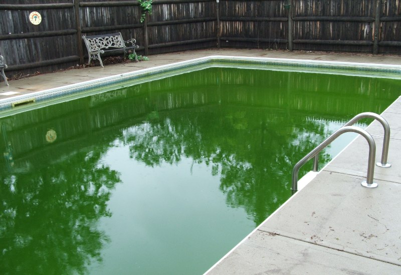 green cloudy pool. Some pools problems